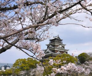 Kagoshima to Kyoto 14-Day Cherry Blossom Viewing Tour on a Private Chartered Car