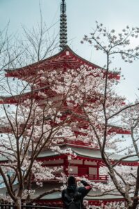 Kagoshima to Hokkaido 30-Day Spring Season Tour with Cherry Blossom Experience