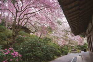 A Peaceful One-Day Tour of a Tranquil Landscape in Ohara